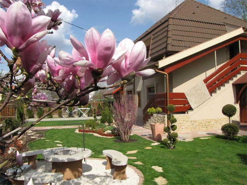 Szegfu Apartman Villa Hajduszoboszlo Exterior photo